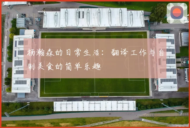 杨瀚森的日常生活：翻译工作与自制美食的简单乐趣