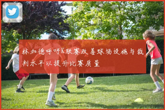 林加德呼吁K联赛改善球场设施与裁判水平以提升比赛质量