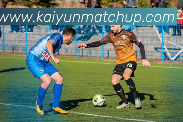 开云体育APP 封面图