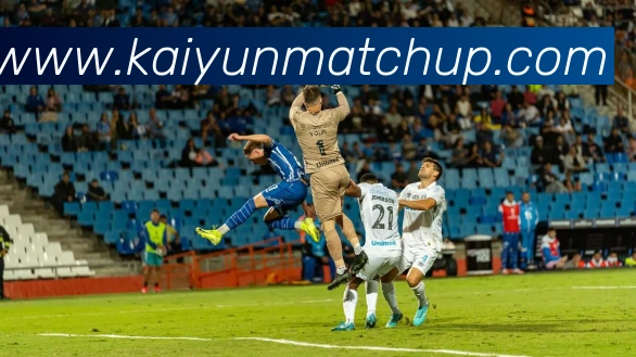 数据防护可视化